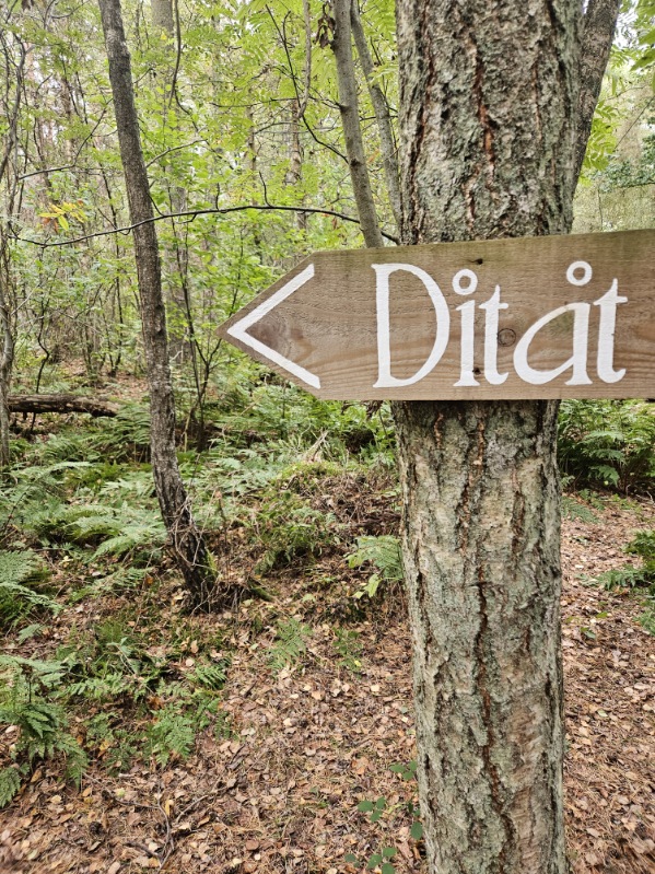 Träskylt i skogen som pekar Dit åt